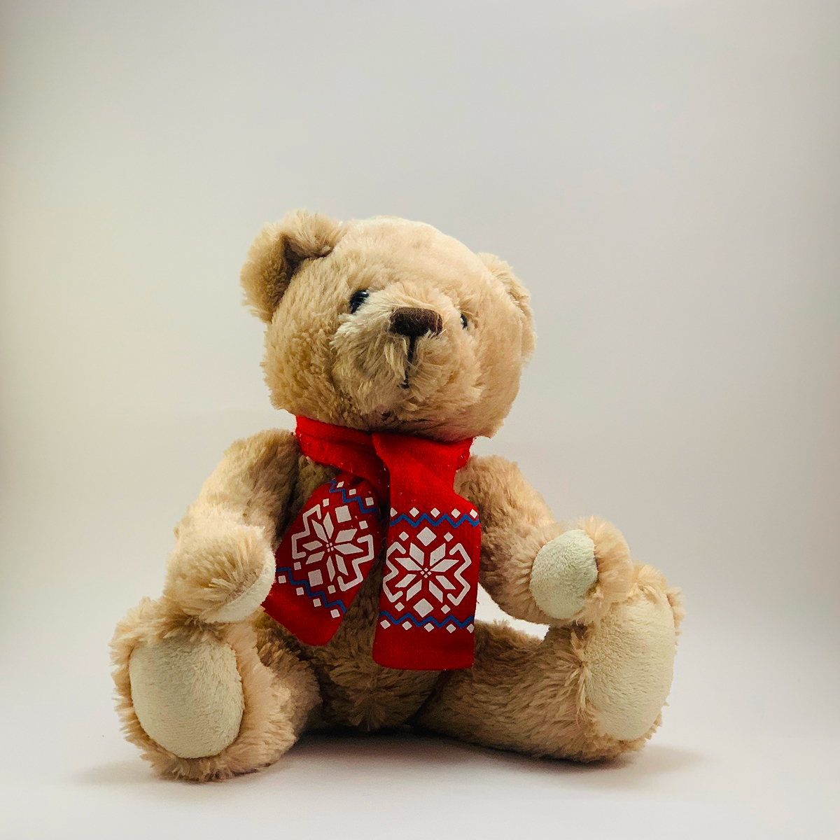 Knuffelbeer Berend voorkant