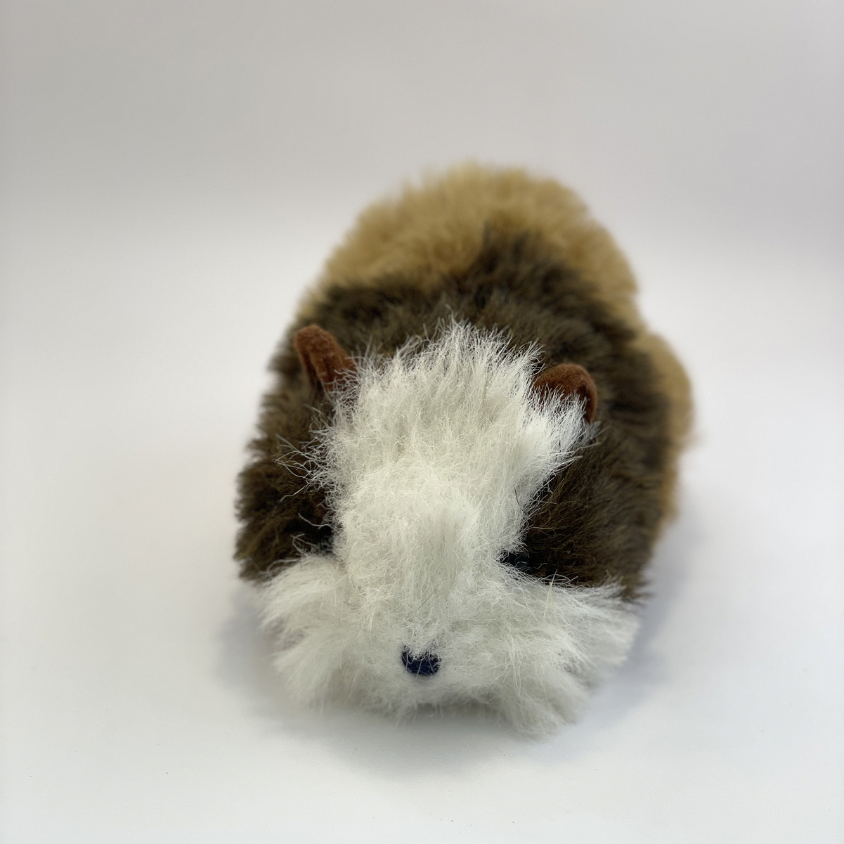 Knuffelcavia Coco voorkant
